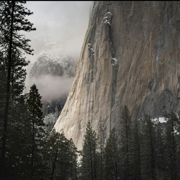 Meet the Posher Other - ℍ𝔼𝕃𝕃𝕆 🐆 Meet Me